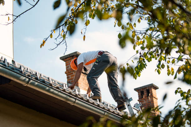 Best Roof Waterproofing Services  in Edburgh, IN