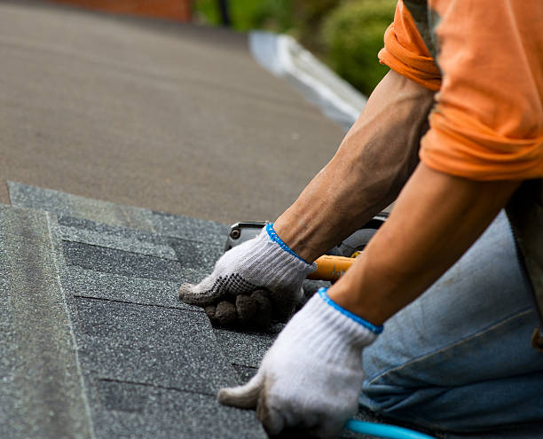Best Storm Damage Roof Repair  in Edburgh, IN